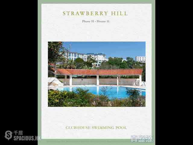 The Peak - Strawberry Hill 02
