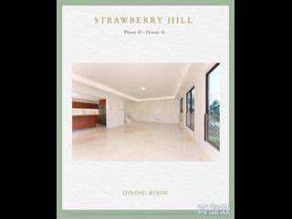The Peak - Strawberry Hill 03