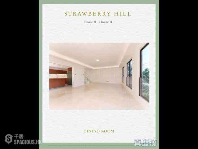 The Peak - Strawberry Hill 03