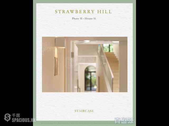 The Peak - Strawberry Hill 04