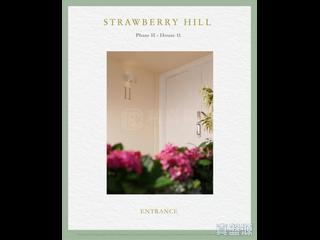 The Peak - Strawberry Hill 05