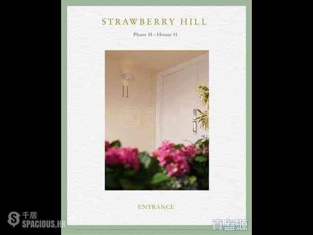 The Peak - Strawberry Hill 05