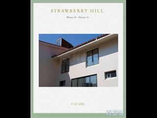 The Peak - Strawberry Hill 06