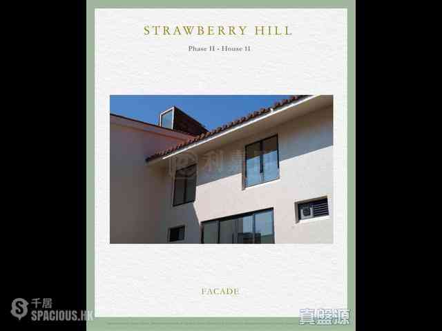 The Peak - Strawberry Hill 06