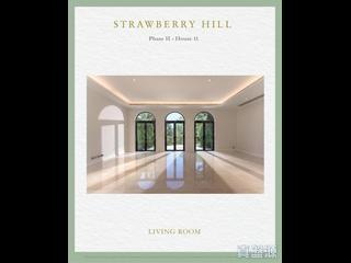 The Peak - Strawberry Hill 07