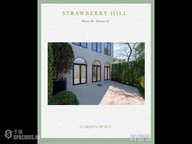 The Peak - Strawberry Hill 08