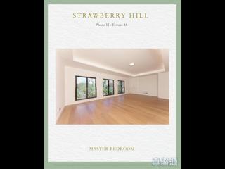 The Peak - Strawberry Hill 09