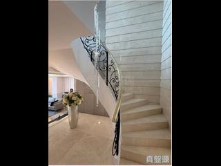 The Peak - Strawberry Hill 05