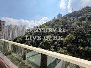東半山 - 康德居 18