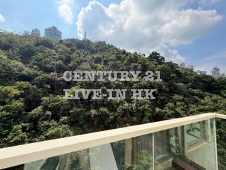 東半山 - 康德居 13