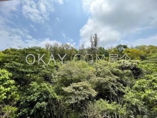 清水灣 - 傲瀧11座 04
