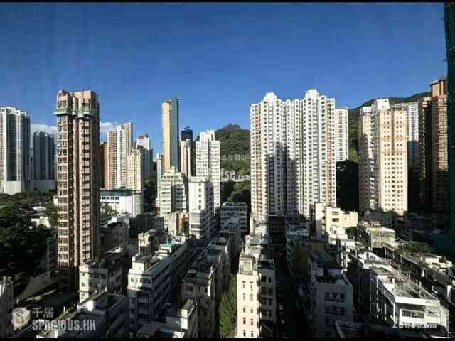 大坑 - 尚峦 02