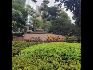 油麻地 - 君颐峰 12