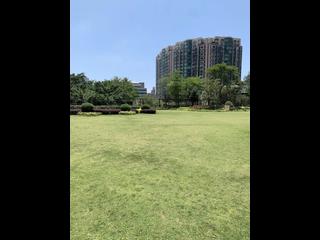 油麻地 - 君颐峰 13