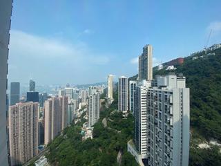 中半山 - 嘉富麗苑1座 10