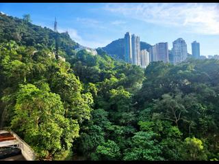 Wan Chai - Royal Court 06