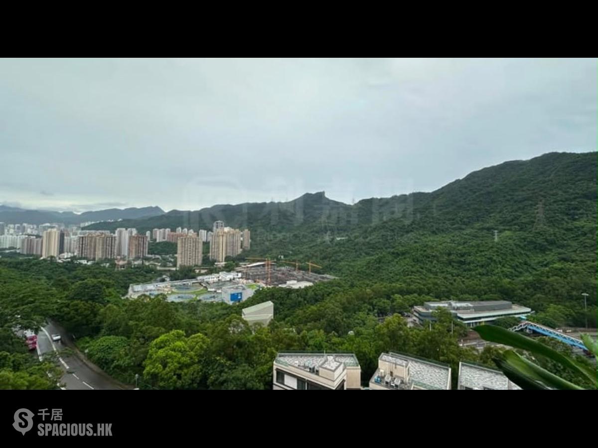 沙田 - 毕架・金峰 01