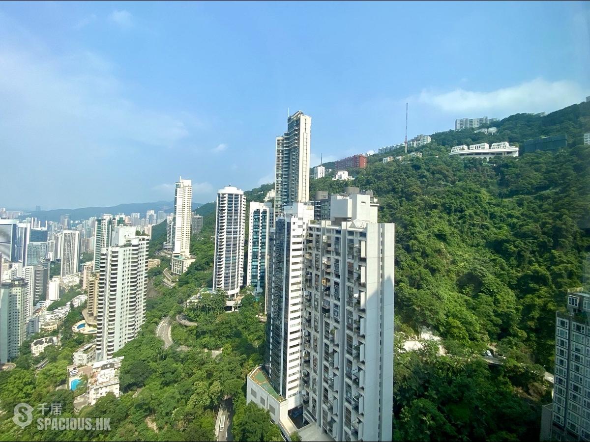 中半山 - 嘉富麗苑1座 01