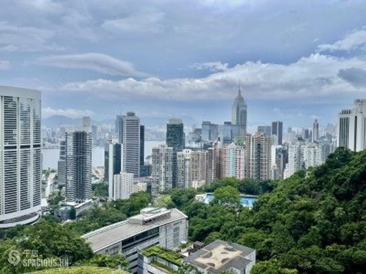 東半山 - 峰景花園 01
