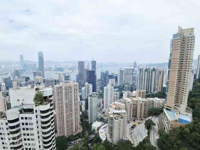 中半山 - 世紀大廈1座 06