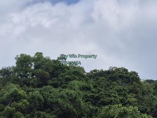 Beacon Hill - Dynasty Heights 11