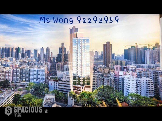 Cheung Sha Wan - One Madison 01