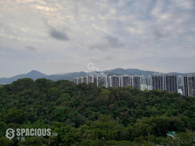 Sha Tin - Yue Tin Court 01
