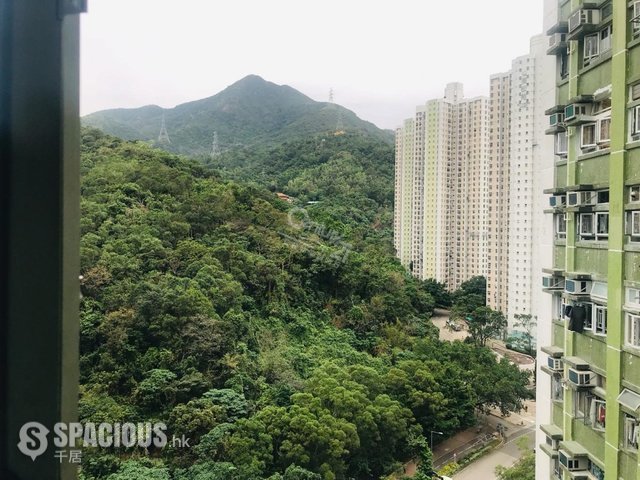 Tai Wai - May Shing Court 01