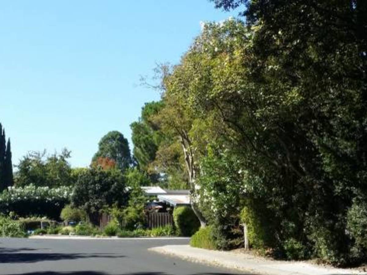 Huangpu - Palo Alto 01