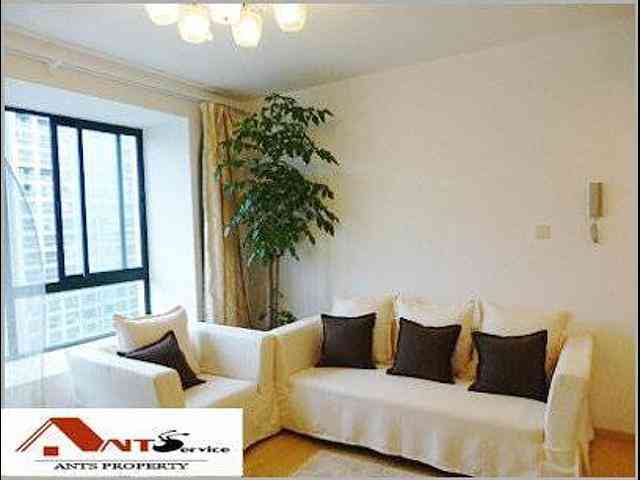 Jingan - Jing'an Area 01