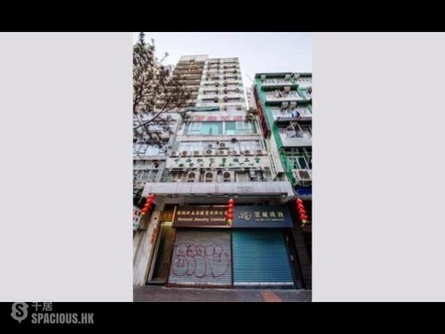 Jordan - Jade Commercial House 01