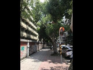 Daan - X-X Lane 24, Section 3, Ren'ai Road, Daan, Taipei 10