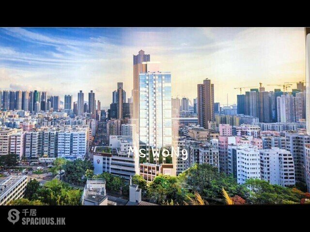 Sham Shui Po - Madison Park 01