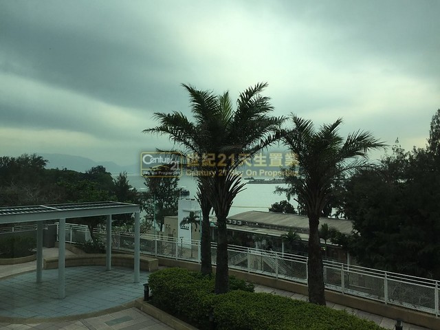 Tuen Mun - Palm Cove 01