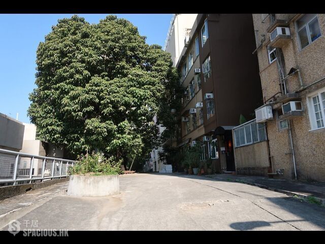 Kennedy Town - 9, Ching Lin Terrace 01