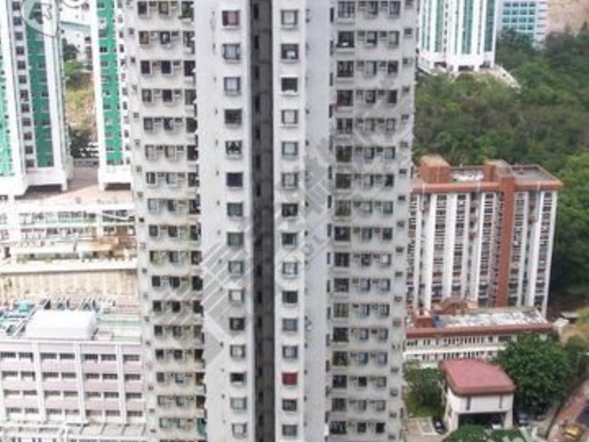 Chai Wan Kok - Sheeny Terrace 01