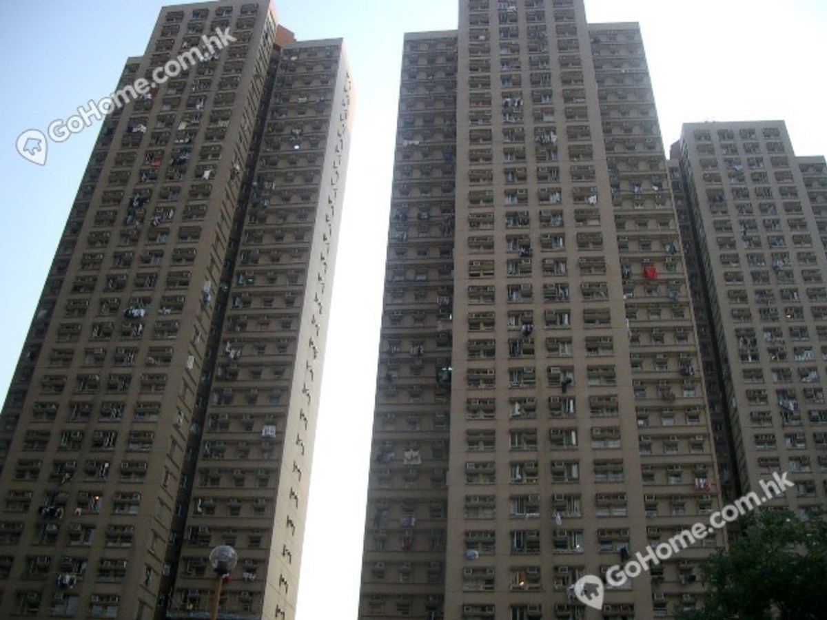 大埔 - 宏福苑 01