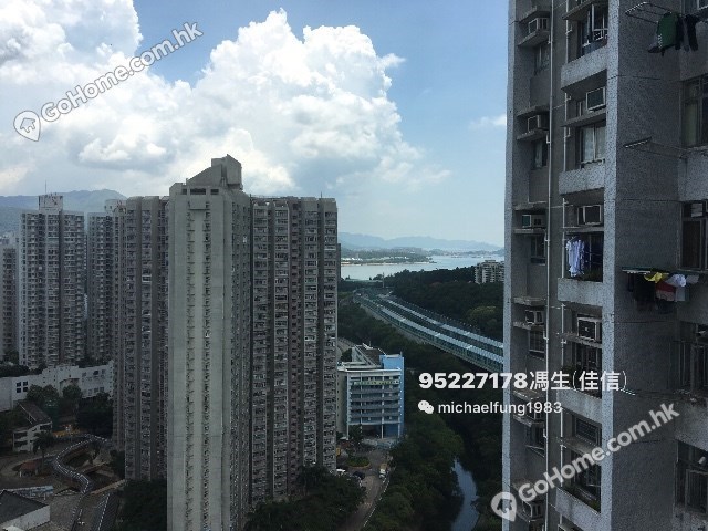 大埔 - 景雅苑 01