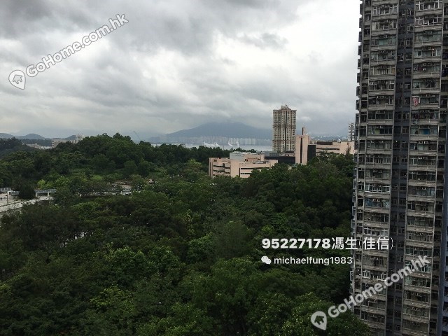 大埔 - 富亨邨 01