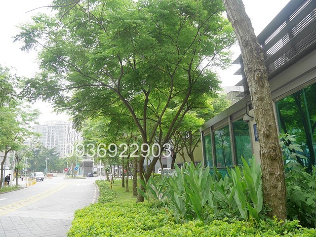 大安區 - 106台灣台北市大安區光復南路290巷XX號 01