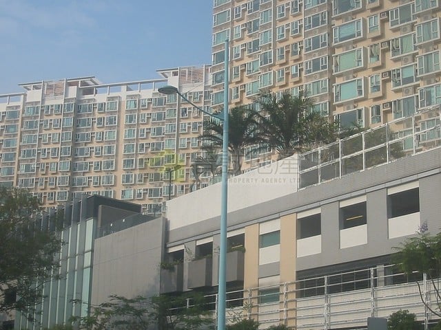 Tuen Mun - Palm Cove 01