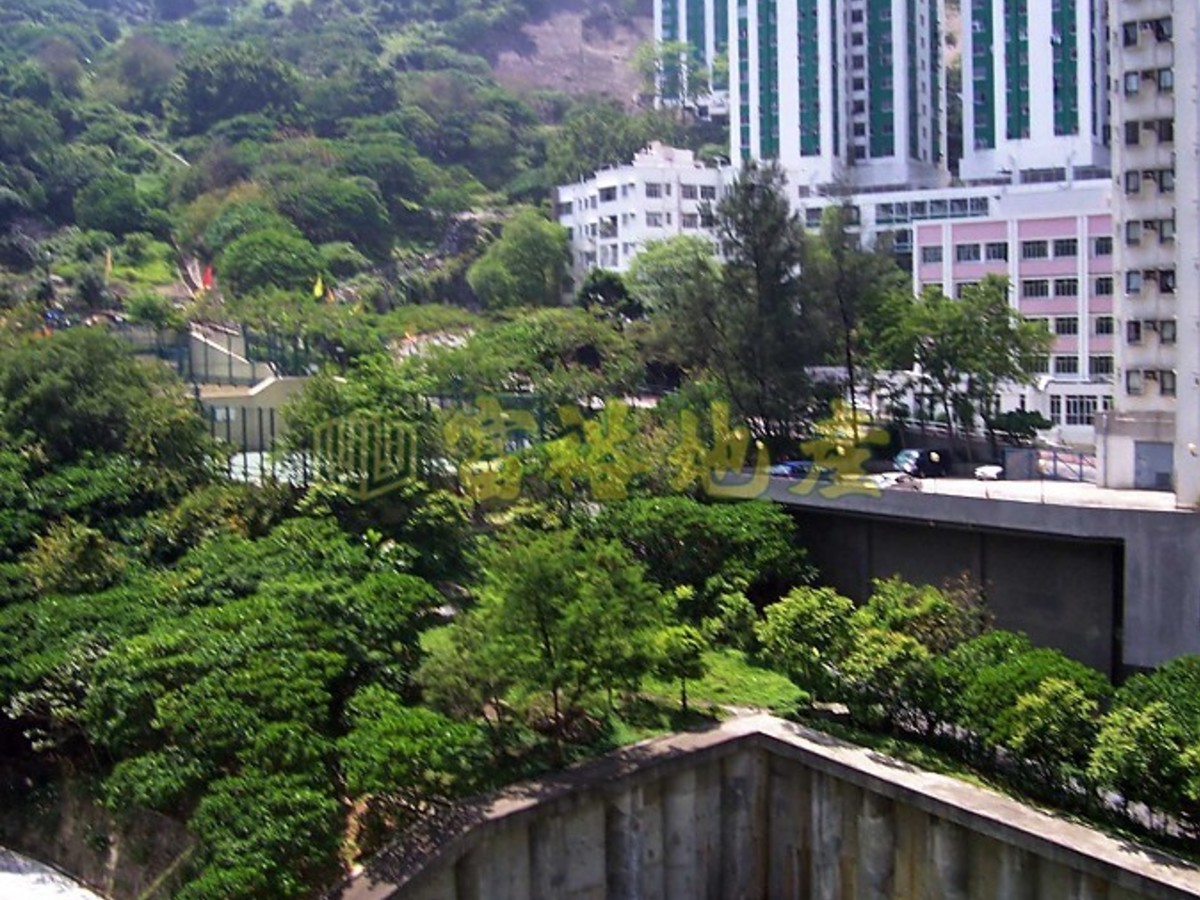 Chai Wan Kok - Summit Terrace 01