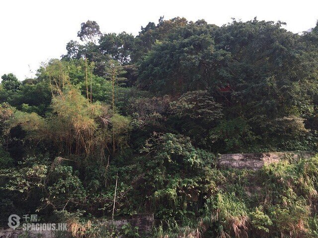 Sai Wan Ho - Sun Sing Centre 01