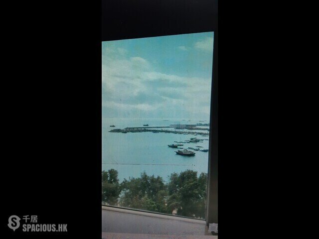 Tuen Mun - Palm Cove 01
