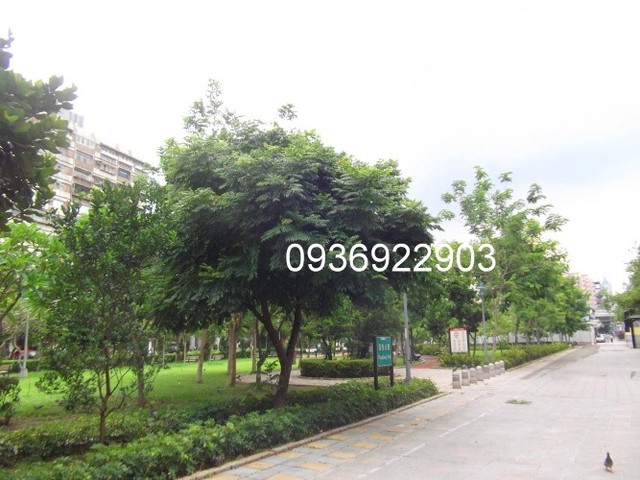 Daan - No. XXX, Section 3, Civic Blvd, Da’an District, Taipei City, Taiwan 106 01