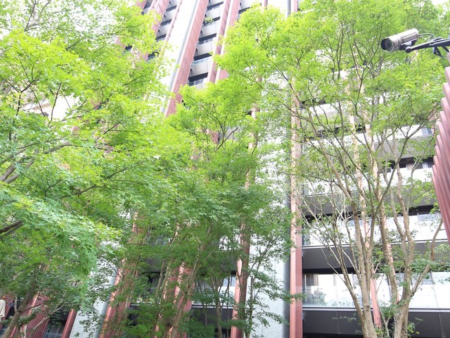 Zhongshan - No. XXX, Section 2, Jianguo N Rd, Zhongshan District, Taipei City, Taiwan 104 01