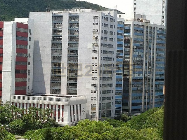 Tai Po - Wing Fai Garden 01