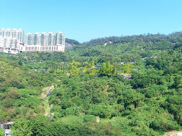 Tsuen Wan - Tsuen King Garden 01