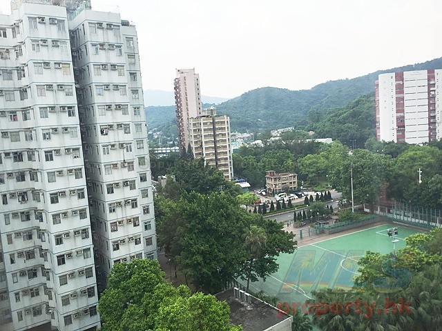 大埔 - 海寶花園 01