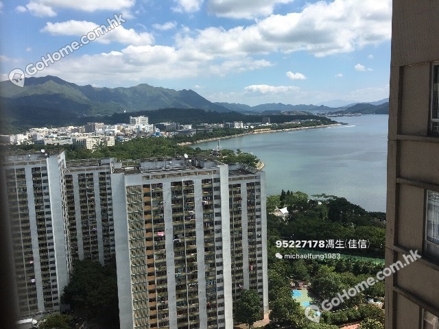 Tai Po - Wang Fuk Court 01